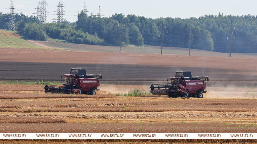Lukashenko examines performance of Belarusian-made harvesters in challenging weather