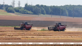 Lukashenko examines performance of Belarusian-made harvesters in challenging weather
