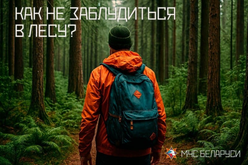 Как не заблудиться в лесу