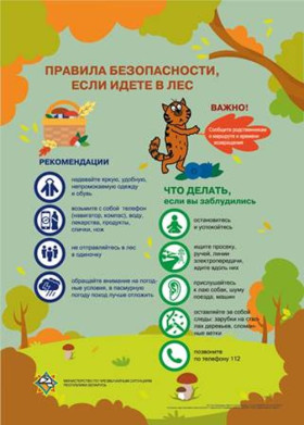 Как не потеряться в лесу