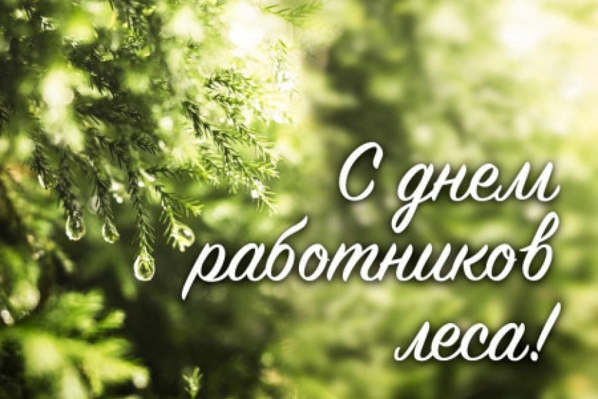 Кіраўніцтва Шумілінскага раёна адрасуе віншаванне з Днём работнікаў лесу