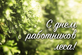 Кіраўніцтва Шумілінскага раёна адрасуе віншаванне з Днём работнікаў лесу